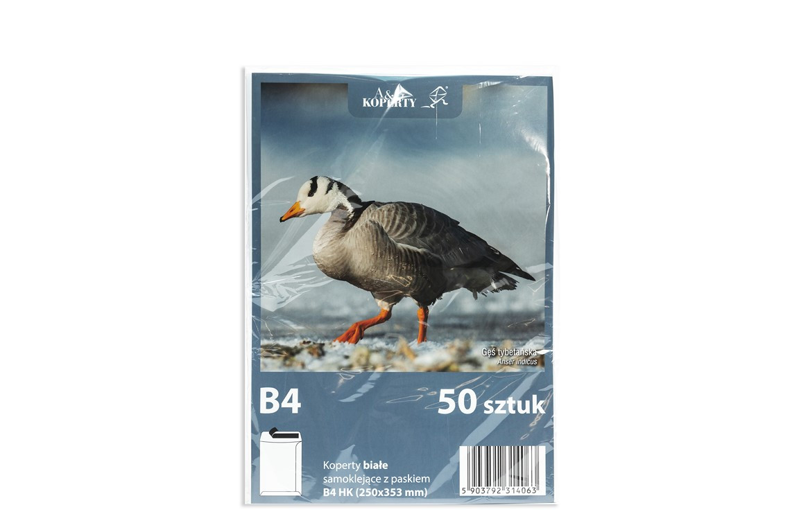 Koperta B4/50szt. HK biała